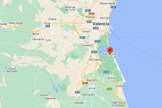 El foco de gripe aviar del Parque Natural de La Albufera no afecta al estatus de España como libre de IAAP en aves de corral