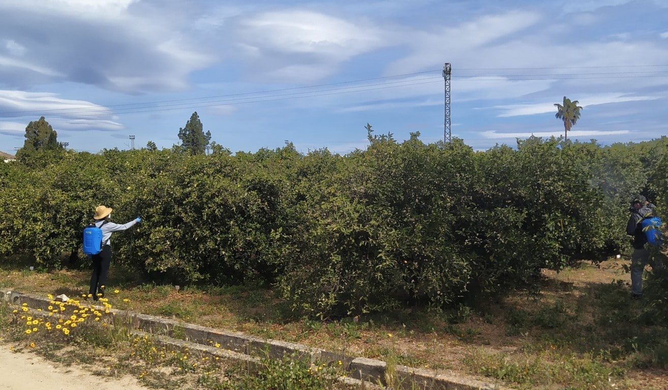 Uso de nuevos agronutrientes y bioestimulantes en cítricos