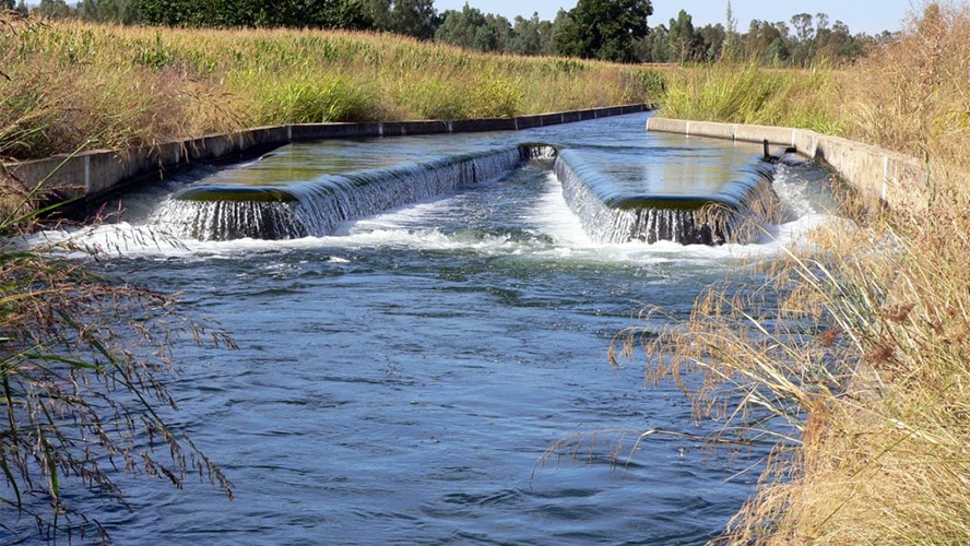 La Fundación Botín y la UIMP organizan un curso sobre los “Retos del agua en España: el futuro de la agricultura de regadío”