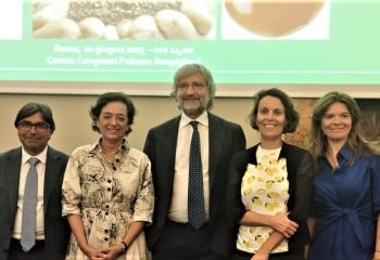 El Comité Mixto de Frutas y Hortalizas pide la incorporación de cláusulas espejo en los acuerdos comerciales