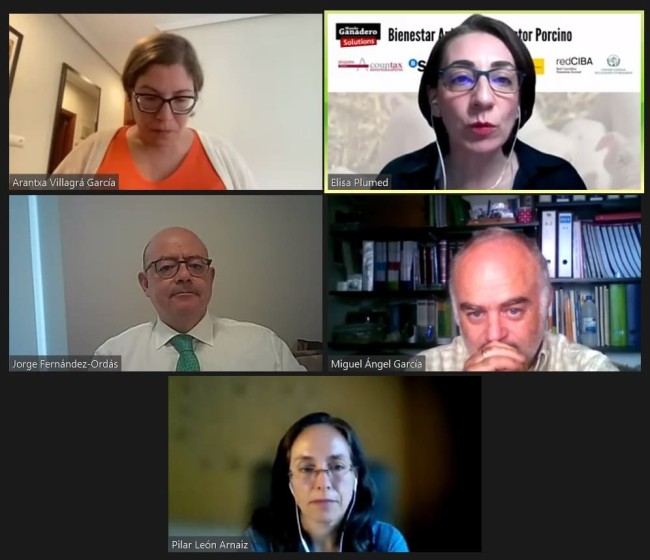 Un webinar de Mundo Ganadero aborda el Bienestar Animal desde una óptica pluridisciplinar