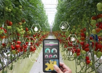 Jornada sobre la revolución digital del empleo, también en el sector hortofrutícola