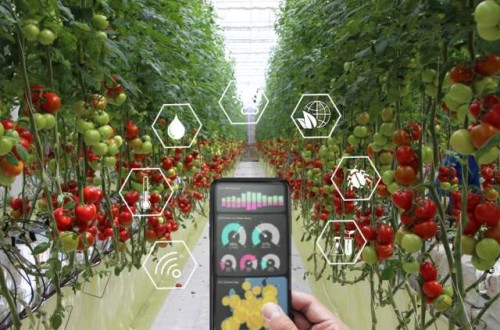 Jornada sobre la revolución digital del empleo, también en el sector hortofrutícola