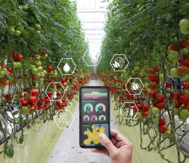 Jornada sobre la revolución digital del empleo, también en el sector hortofrutícola