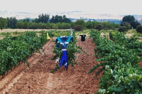 El paro registrado en Agricultura se redujo en mayo un 2,3% y casi un 23% en el último año