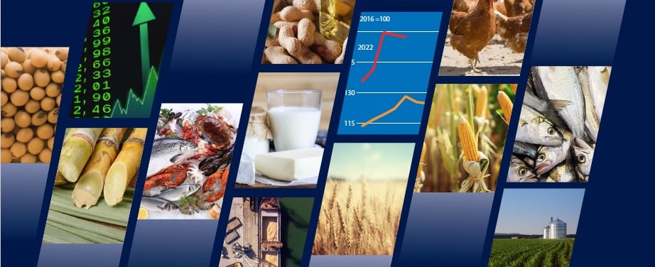 FAO: menores precios mundiales de los alimentos básicos apenas se traduce en descensos de los precios minoristas internos