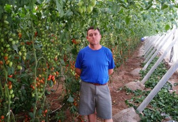 Francisco Montilla, una producción hortícola de éxito en alianza con Yara