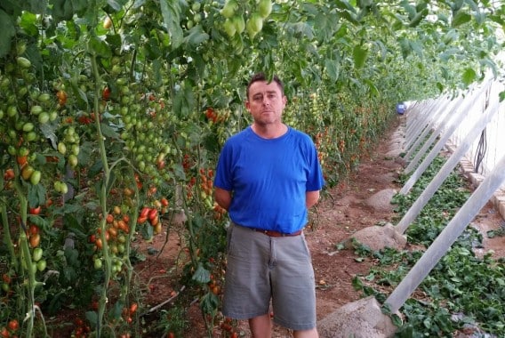 Francisco Montilla, una producción hortícola de éxito en alianza con Yara