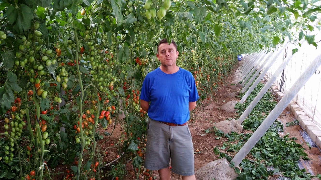 Francisco Montilla, una producción hortícola de éxito en alianza con Yara