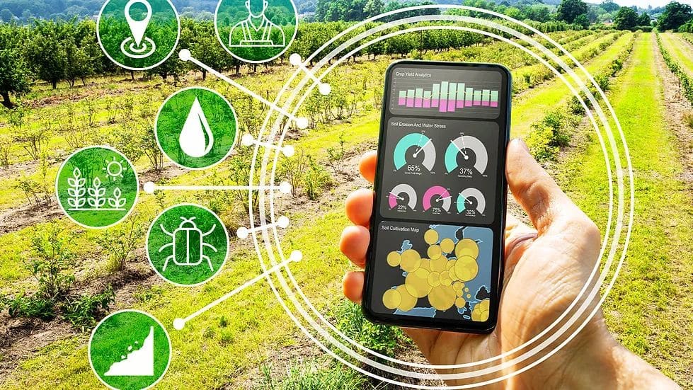 La implantación del Cuaderno Digital de Explotación Agrícola (CUE) se retrasará al menos un año