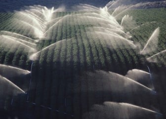 Jornadas sobre el uso sostenible del agua en agricultura en Huelva y Lleida