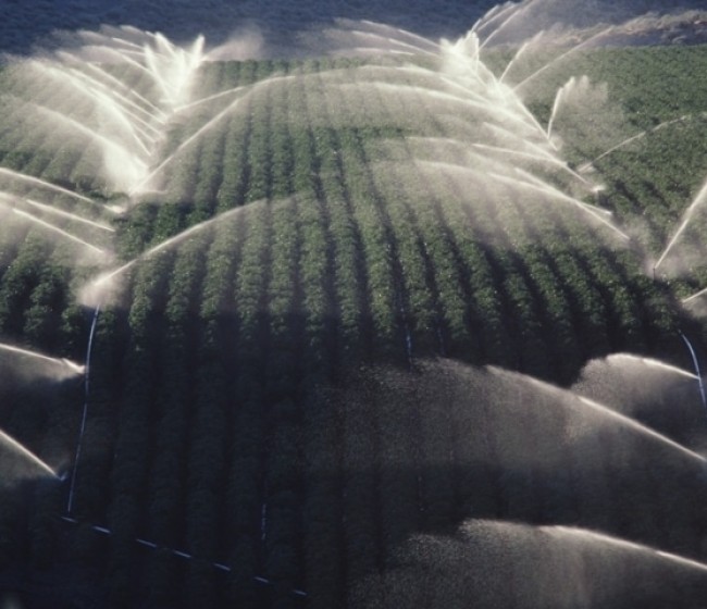 Jornadas sobre el uso sostenible del agua en agricultura en Huelva y Lleida