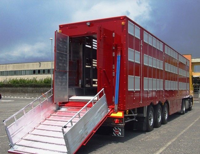 Desde el 15 de junio se activa el plan de control de temperatura en viajes de animales vivos por carretera