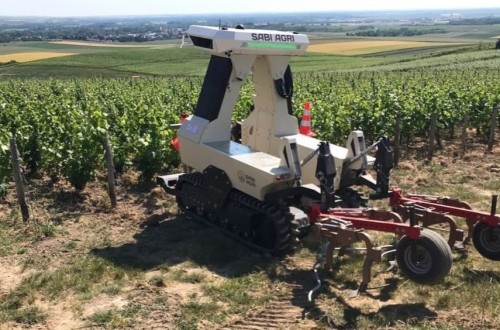 Zilus, el nuevo robot vitícola 100% eléctrico de Sabi Agri