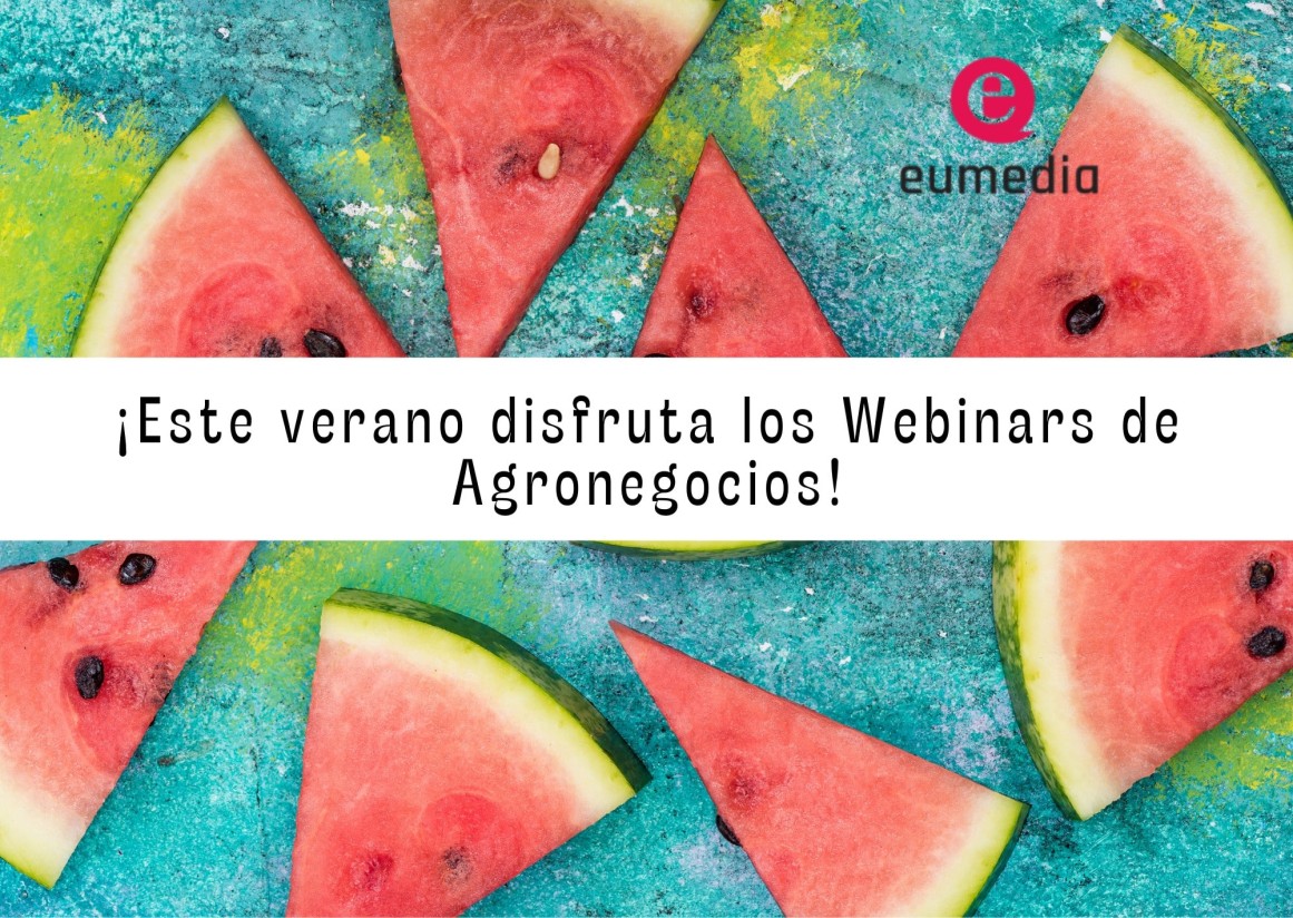 Webinars técnicos