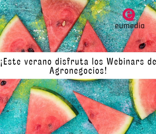 Webinars técnicos