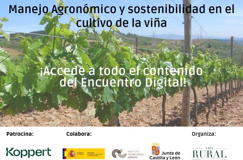 Especial manejo agronómico y sostenibilidad en el cultivo de la viña