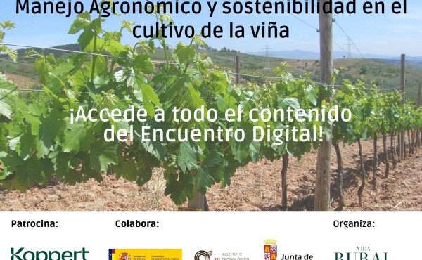 Especial manejo agronómico y sostenibilidad en el cultivo de la viña