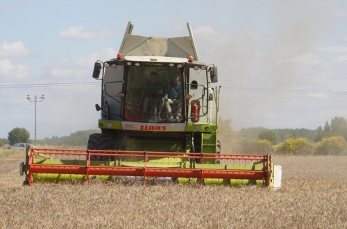 Castilla y León recogerá apenas 3,24 Mt de cereales de invierno en la campaña 2023/24