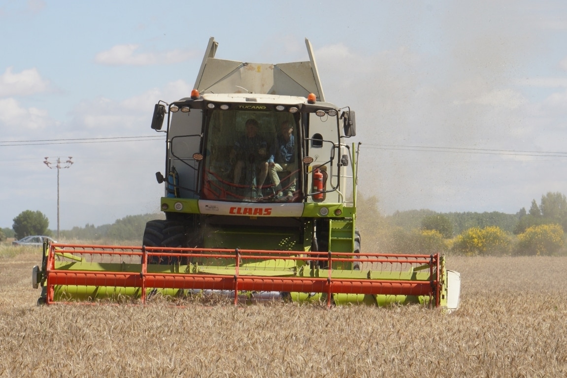 Castilla y León recogerá apenas 3,24 Mt de cereales de invierno en la campaña 2023/24