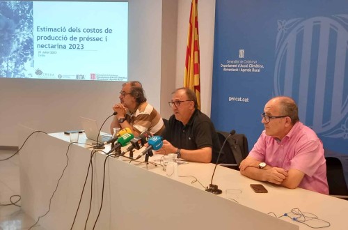 Coste de producción estimado de la fruta de hueso en Cataluña: media de 0,409 €/kg al agricultor en 2023