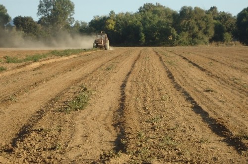 La izquierda, el medio rural y el sector agrícola. Por Marcos Garcés Lizama