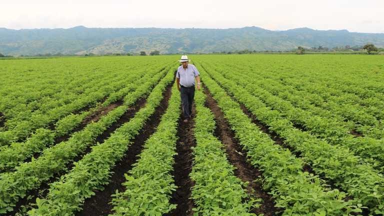 Flojo junio para el empleo y la afiliación a la Seguridad Social en el sector agrario