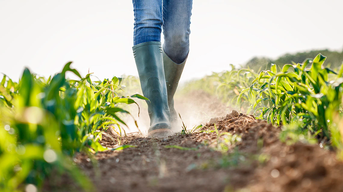 BBVA lanza el Préstamo Sequía para que agricultores y ganaderos puedan paliar sus efectos económicos