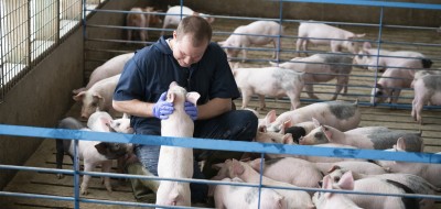 Prevención, detección temprana e innovación: las claves para mejorar la salud de los animales