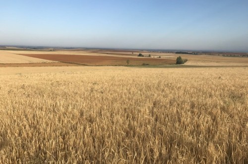 España podría pasar de un clima mediterráneo a un clima estepario en 2050