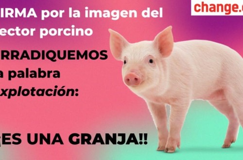Campaña de Change.org para erradicar en el sector ganadero la palabra explotación