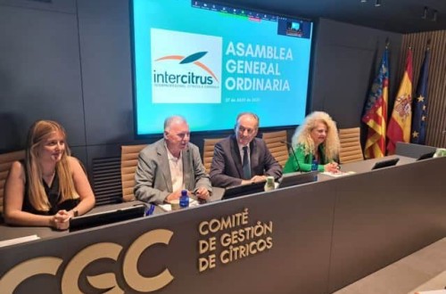 Inmaculada Sanfeliu vuelve a la Presidencia de la interprofesional Intercitrus