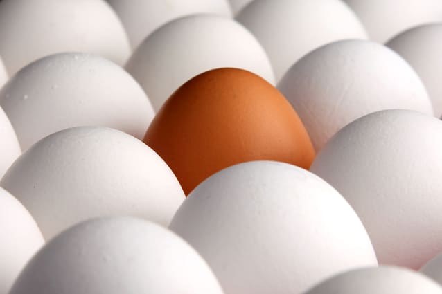 El MAPA aprueba la extensión de norma por cinco años para el sector del huevo