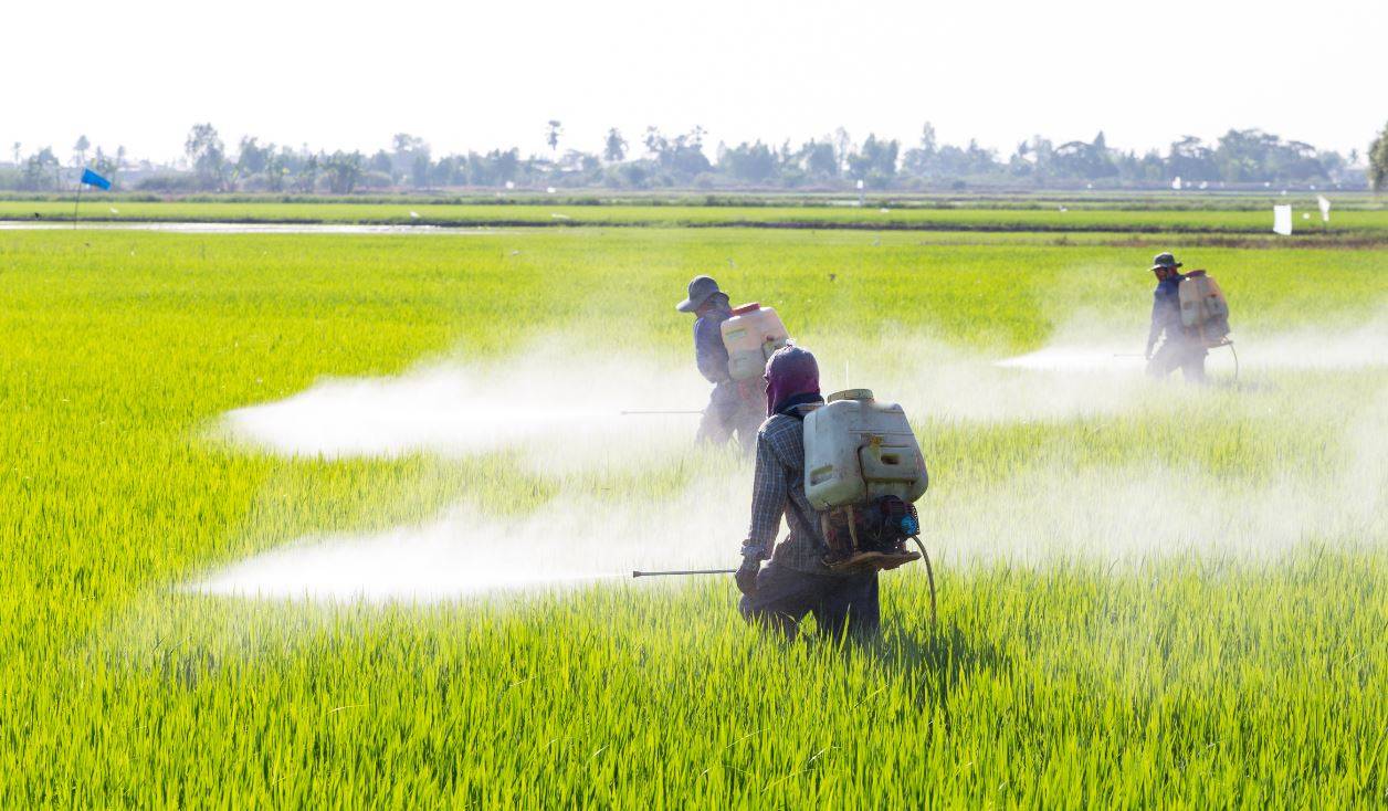 La EFSA no identifica áreas críticas de preocupación en la evaluación de riesgos del glifosato en agricultura