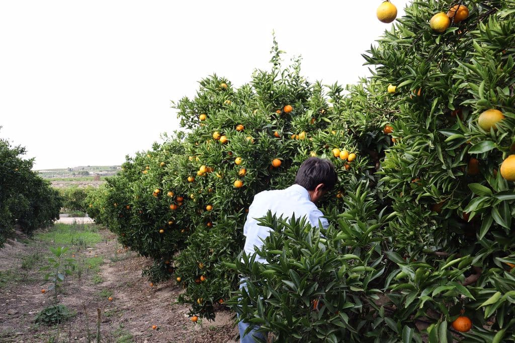 EPA: la ocupación en Agricultura apenas crece un 0,2% y en 1.500 personas en el segundo trimestre