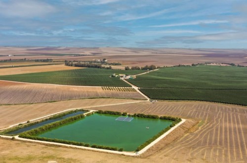 Vendidos los primeros créditos de carbono en olivar del programa Cultiva Carbono desarrollado por BALAM Agriculture