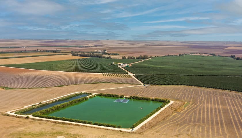 Vendidos los primeros créditos de carbono en olivar del programa Cultiva Carbono desarrollado por BALAM Agriculture