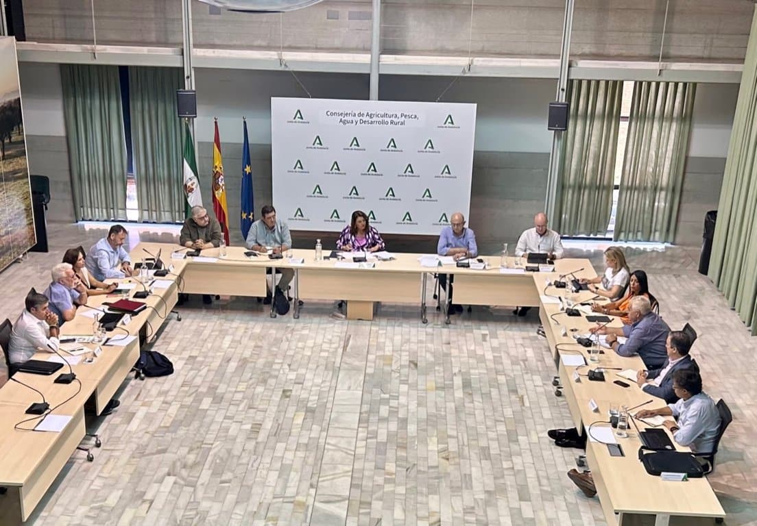 Andalucía insiste en pedir ayudas al olivar por la sequía de los fondos comunitarios