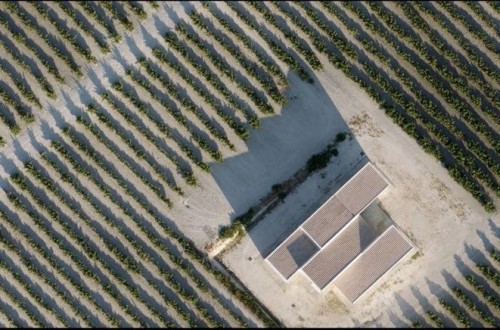 Las DOPs de Córdoba, Málaga y Huelva zonifican y ponen en valor sus pagos vitícolas a través de un grupo operativo