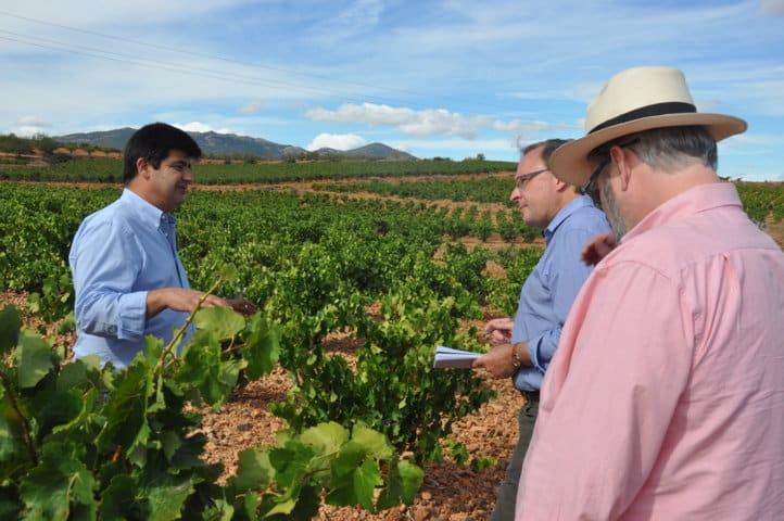 La Plataforma Tecnológica del Vino pone en marcha una nueva área de digitalización