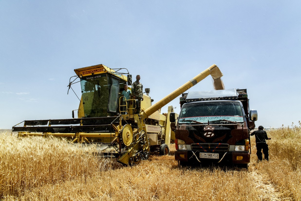 Los precios mundiales de los alimentos básicos del índice de referencia de la FAO siguieron bajando en junio