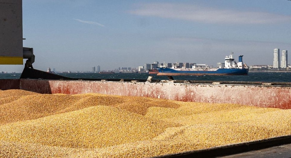 La FAO prevé una producción mundial récord de cereales, incluido arroz, de 2.819 Mt en 2023/24