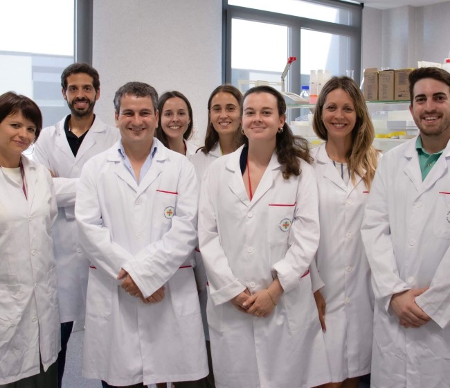 Descubren cepas bacterianas salvajes para hacer frente al patógeno a la agalaxia contagiosa