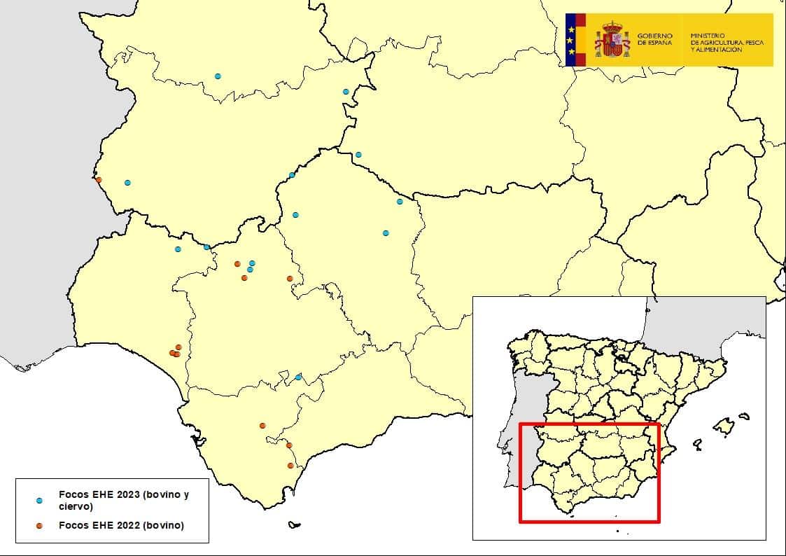 Nuevos casos de EHE restringen los movimientos para vida de bovinos y ovinos en varias provincias