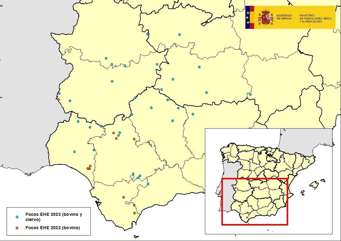 El RASVE eleva a 33 el número de casos de Enfermedad Hemorrágica Epizoótica en España
