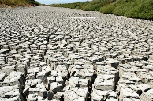 Andalucía aprueba el IV Decreto de Sequía dotado con 217,6 millones
