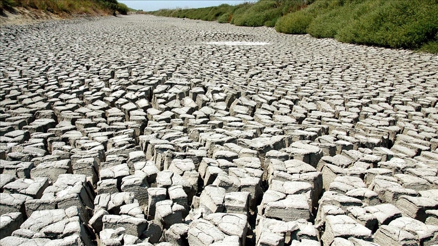 Cataluña declara la emergencia por sequía: se reduce en un 80% el riego agrícola y en un 50% el de ganadería