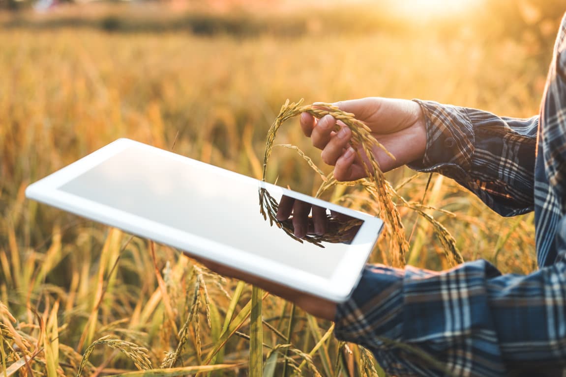 El MAPA plantea ahora que el Cuaderno Digital de la Explotación Agraria no sea obligatorio hasta septiembre de 2025