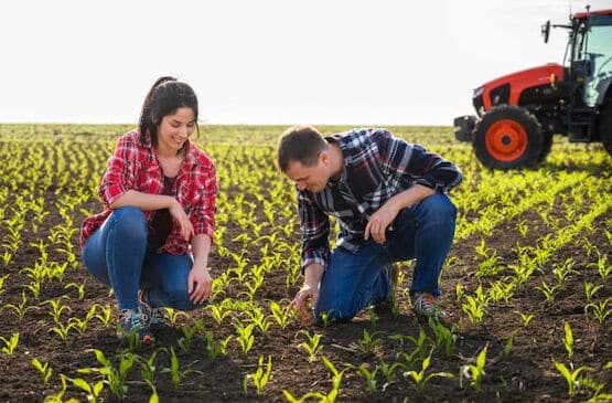 Castilla y León convoca ayudas de 5,7 M€ para favorecer la sucesión y el relevo generacional en el campo