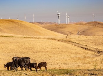 El trabajo en las granjas, clave para asegurar el bienestar animal frente a las altas temperaturas